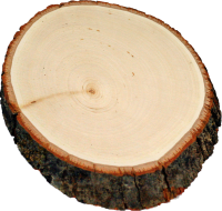 Baumscheibe