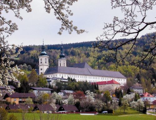 50 Jahr Jubiläum